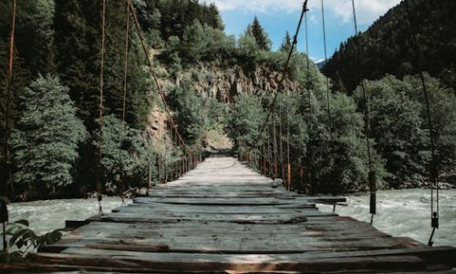 Explore a vintage wooden bridge nestled in lush green forests over a flowing river under a blue sky.